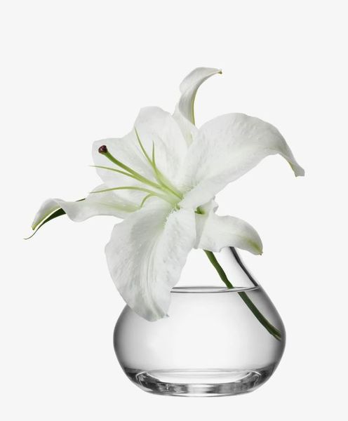 Ваза LSA International Flower 10,8 см FW01 фото