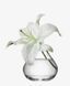 Ваза LSA International Flower 10,8 см FW01 фото 4