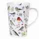 Набір із 3 предметів для заварювання чаю Dunoon Shet Bird Garden 440 мл SH-BIRG-XX фото 4