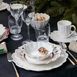 Келих для червоного вина Villeroy & Boch Octavie 280 мл 1173900020 фото 7