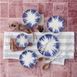 Столовый сервиз G&uuml;ral Rodin 24 пр. GBSRD24Y4100854&nbsp; фото 3