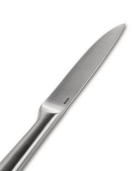 Нож универсальный Alessi Mami 24 см SG501 фото