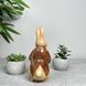 Статуэтка Villeroy & Boch Bunny Tales Nonno Hans 14,5 см 1486626320 фото 3