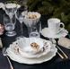 Келих для білого вина Villeroy & Boch Octavie 230 мл 1173900030 фото 6