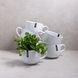 Набор из 6 чашек Ardesto Bagheria Bright white 480 мл AR2948WGC_le фото 1