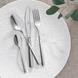 Набор столовых приборов Villeroy & Boch Piemont 4 предмета 1 персона 1262649003 фото 2